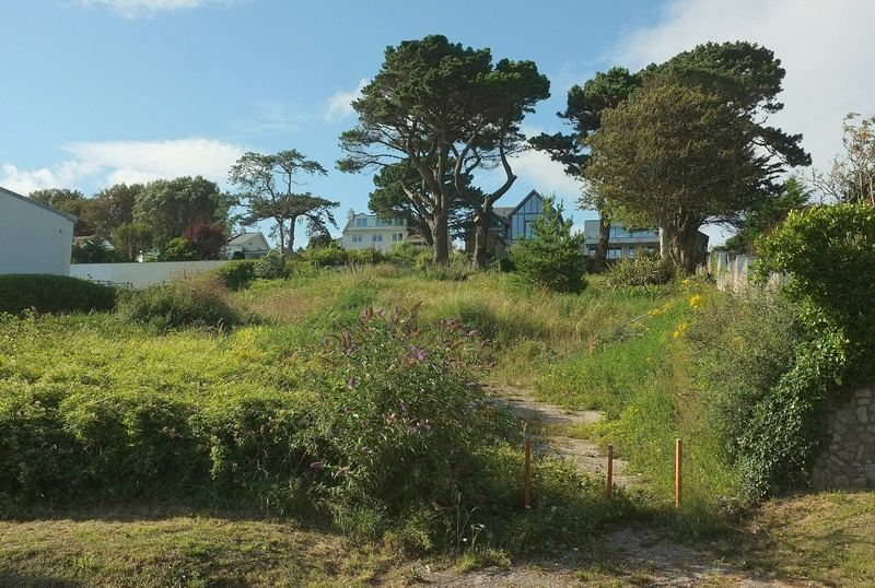 Representative image: a staked plot of land